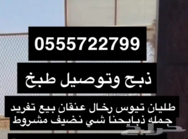 تامين طليان قعدان حسلان مناسبات توصيل على الطلب 10