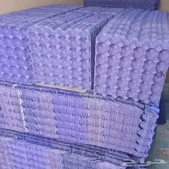 أطباق بيض شوران 0