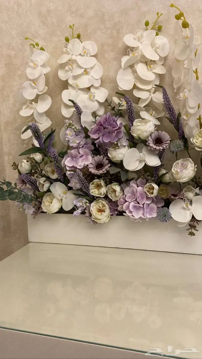 ستاند شبكة 1