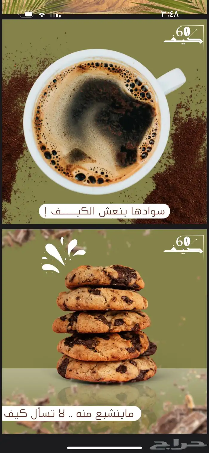 مصممة جرافيك 5