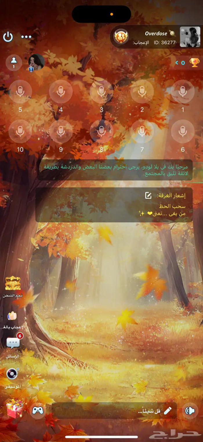 حساب يلا لودو 29