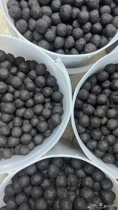 معمول طائفي 0
