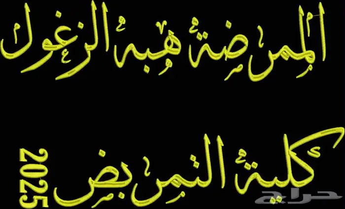 مصمم تطريز لمكينات التطريز 2