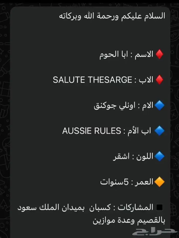حصان 3