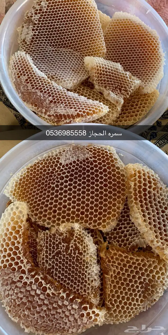 سمره الحجاز 0