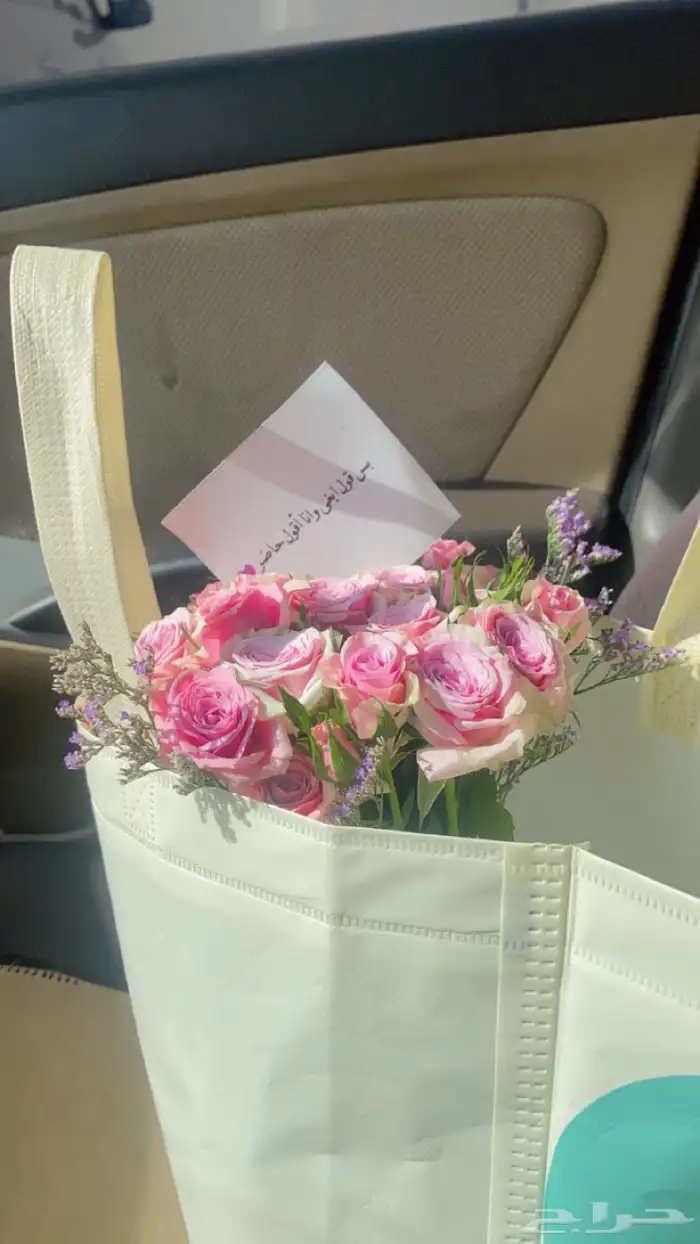 مندوب الرياض 6