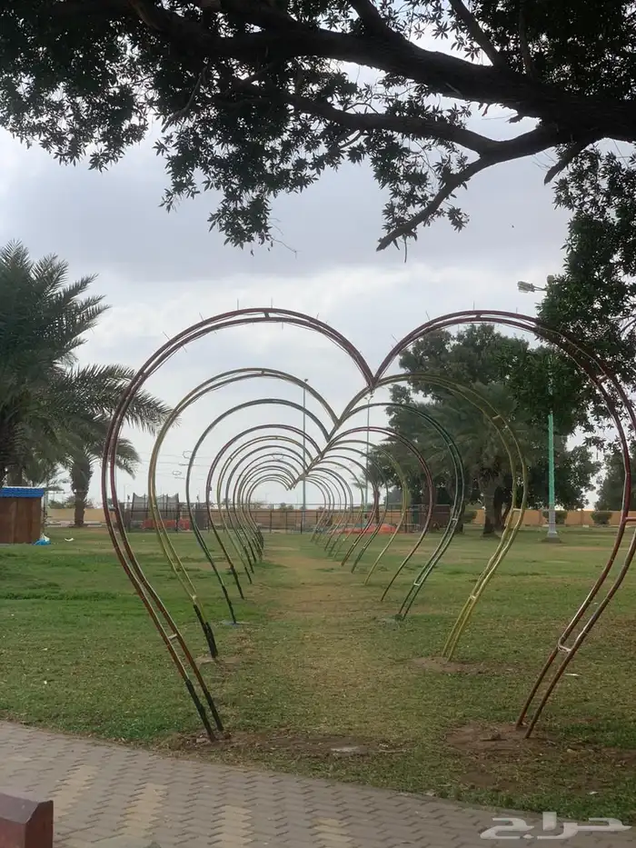 ممشى قلوب للبيع 1