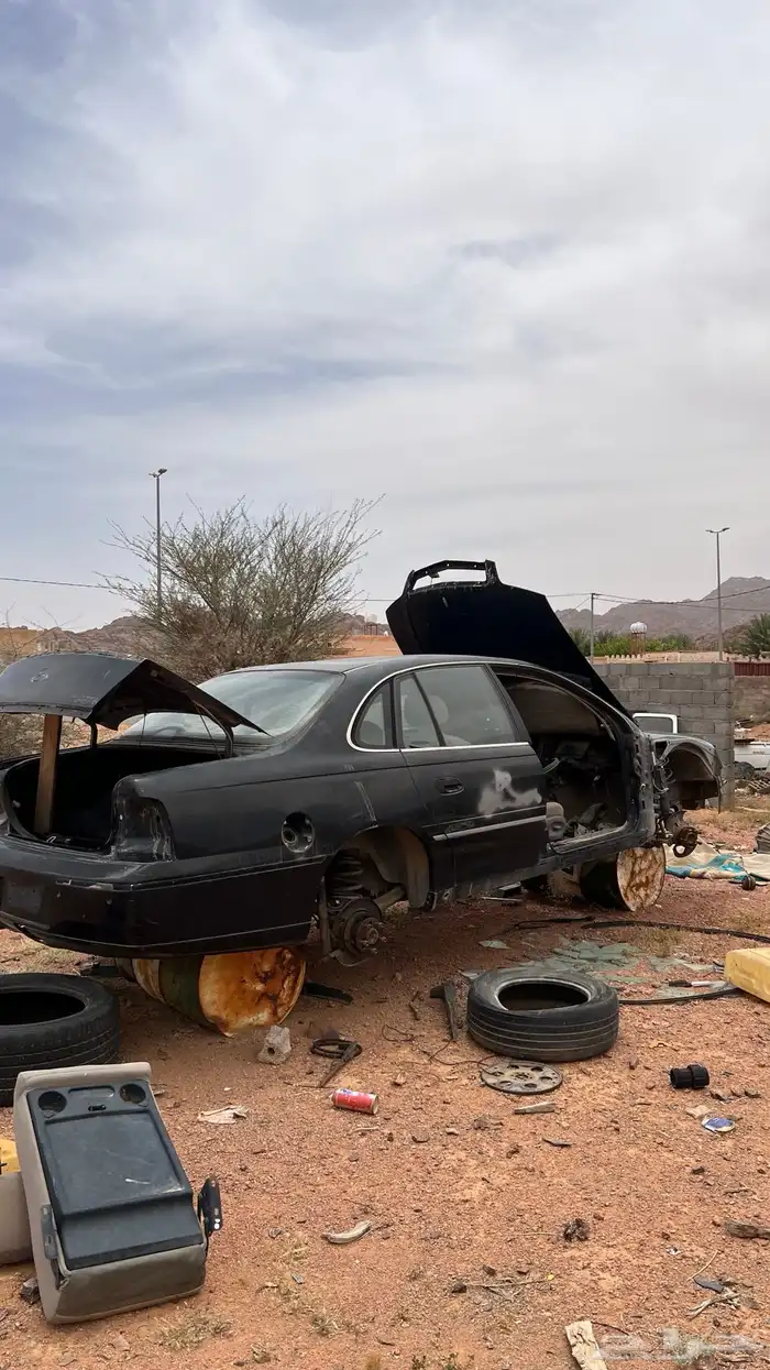 كابرس 6