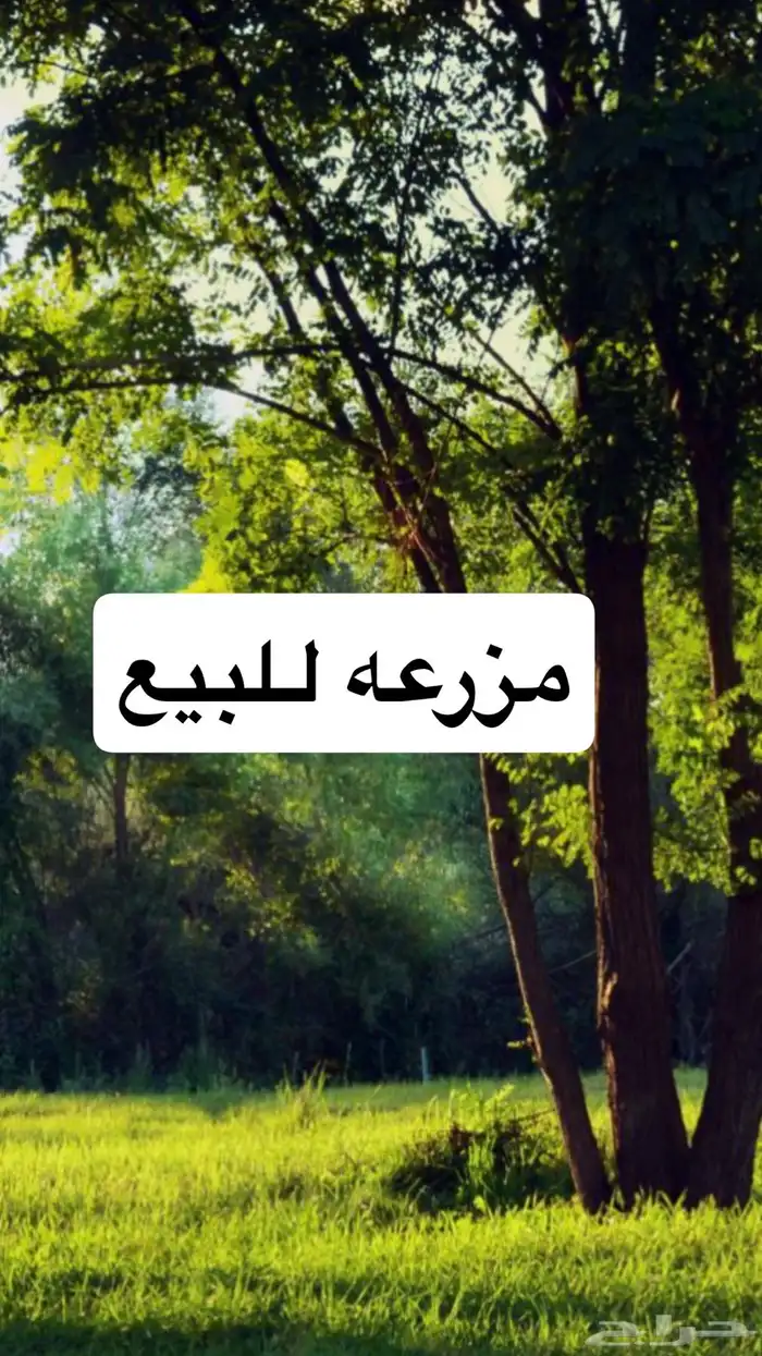 مزرعه للبيع حقروصين 0