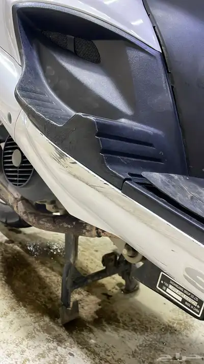 دباب العجيب (بطة) 5