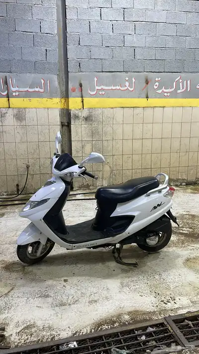 دباب العجيب (بطة) 0