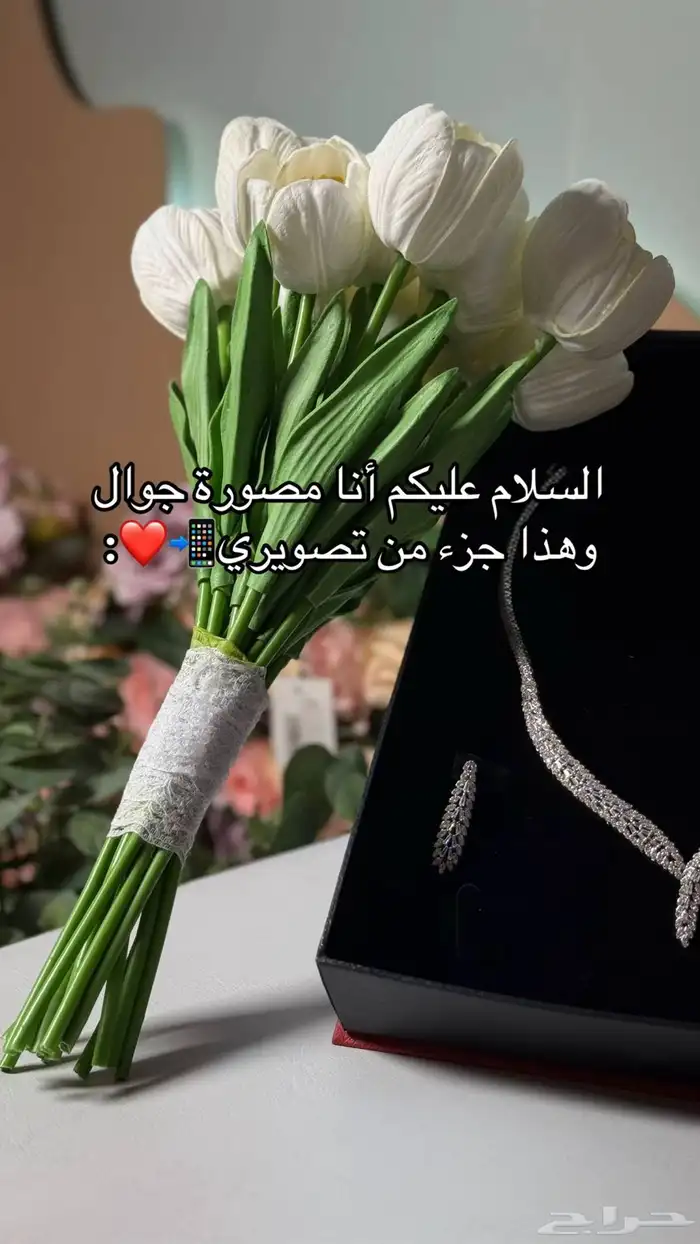 الطايف مصوره جوال 4