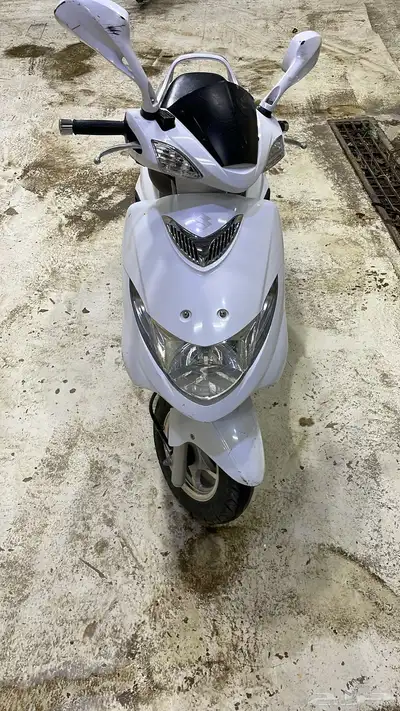 دباب العجيب (بطة) 2