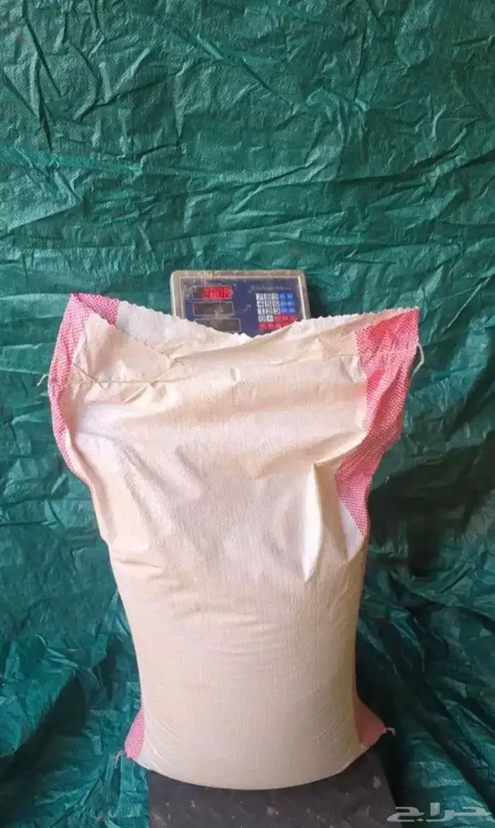 بذر بلوبنك 1