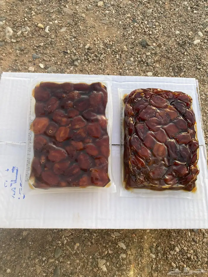 تمر خلاص مزرعه خاصه الجله 1