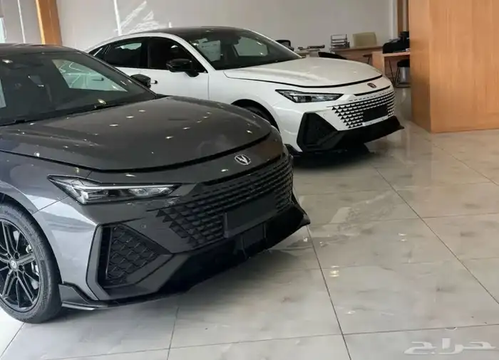 شانجان يونى فى سبورت 2025 1