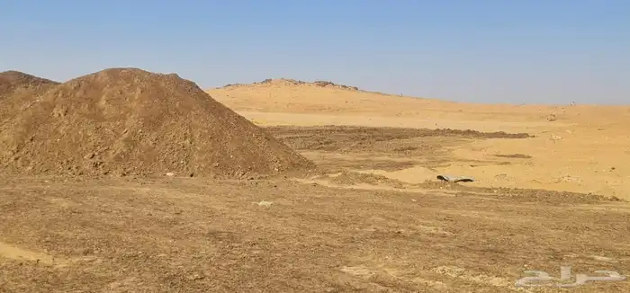 سماد دجاج درجة اولى نظيف خالي من النشارة 0