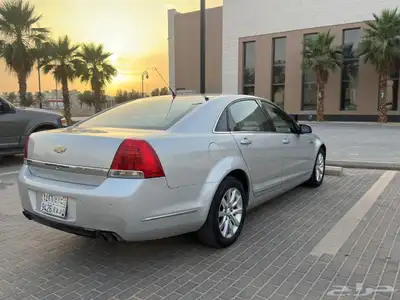 كابروس2013 11