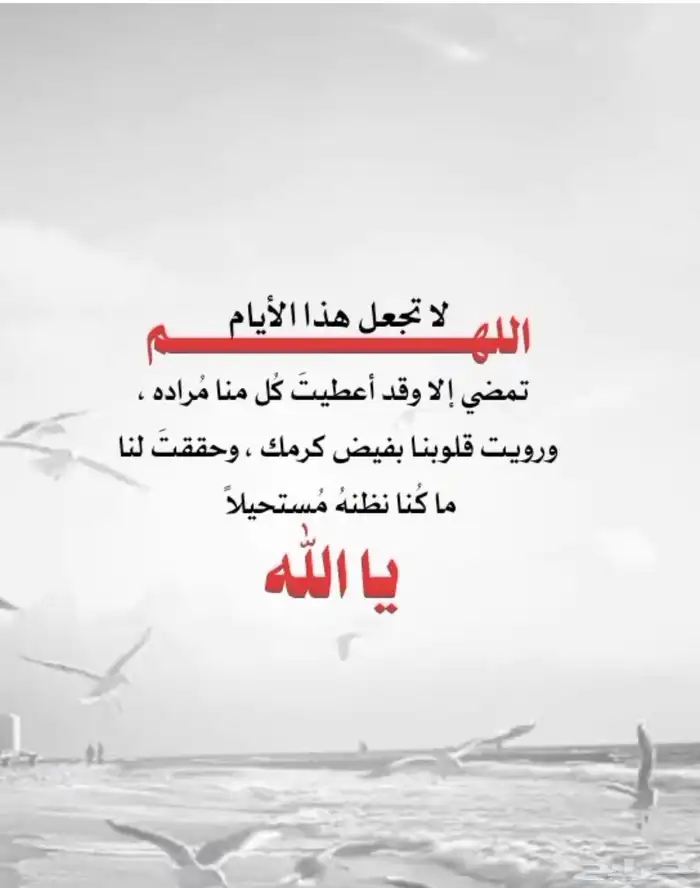 سلك 6 ملي طول 90 متر 4
