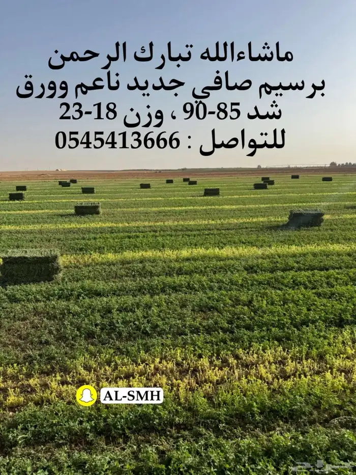 برسيم صافي شد 85-90 0