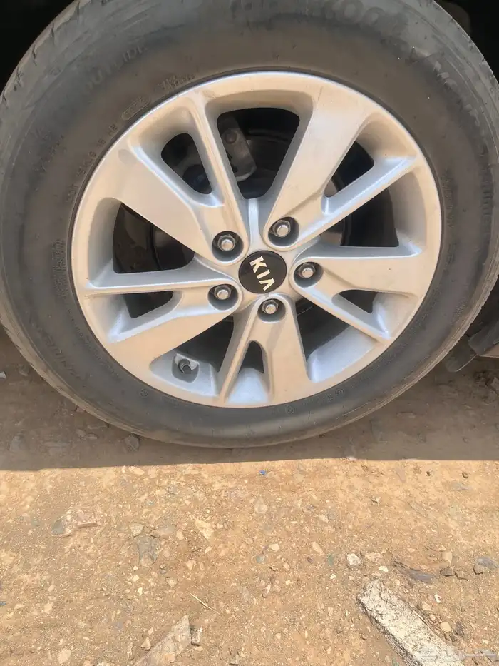 جنوط اوبتيما 2017 1