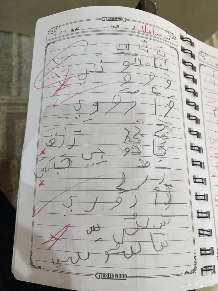 معلمه تأسيس وصفوف اولي 3