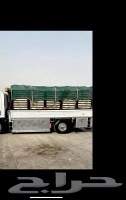 في الباحه دينه دينا دنه تر حيل الدينة نقل 0