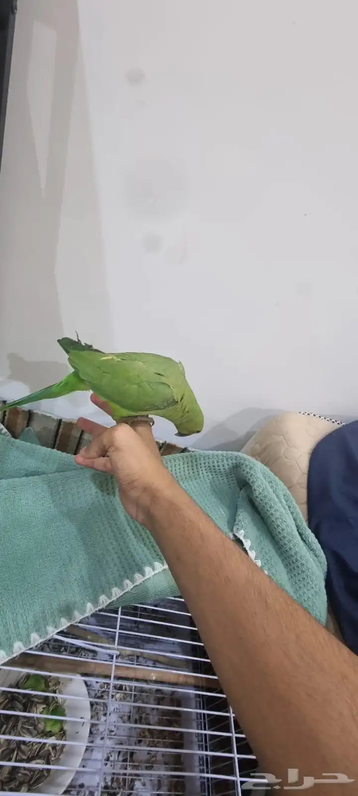 لعوب مرررة ويتكلم ويستمع 0