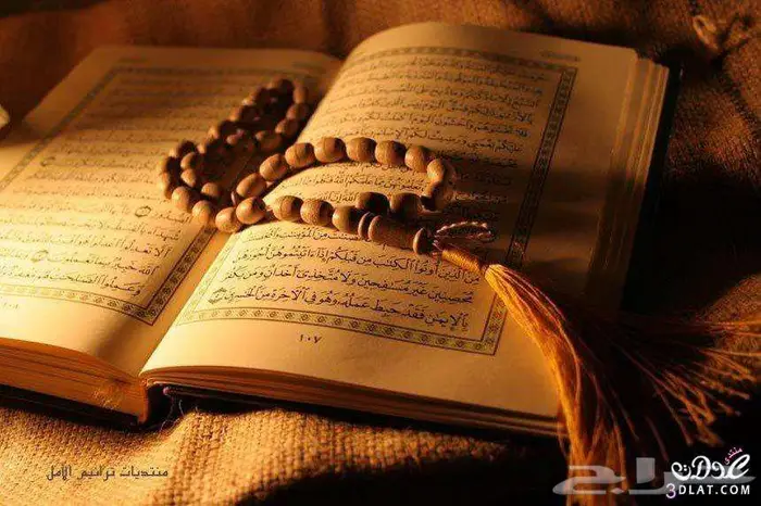 تعليم القران والتجويد للكبار والصغار 0