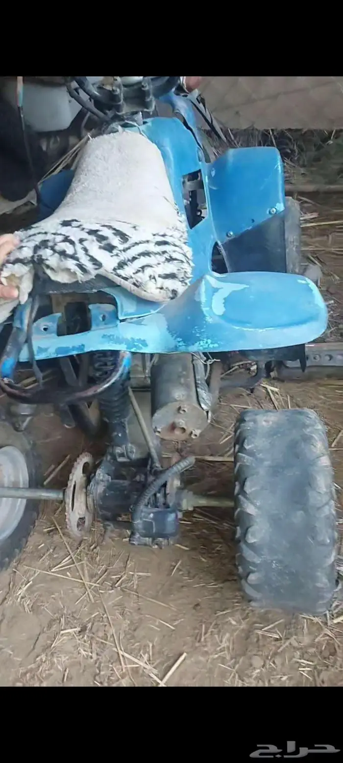 دباب موديل 2014 1