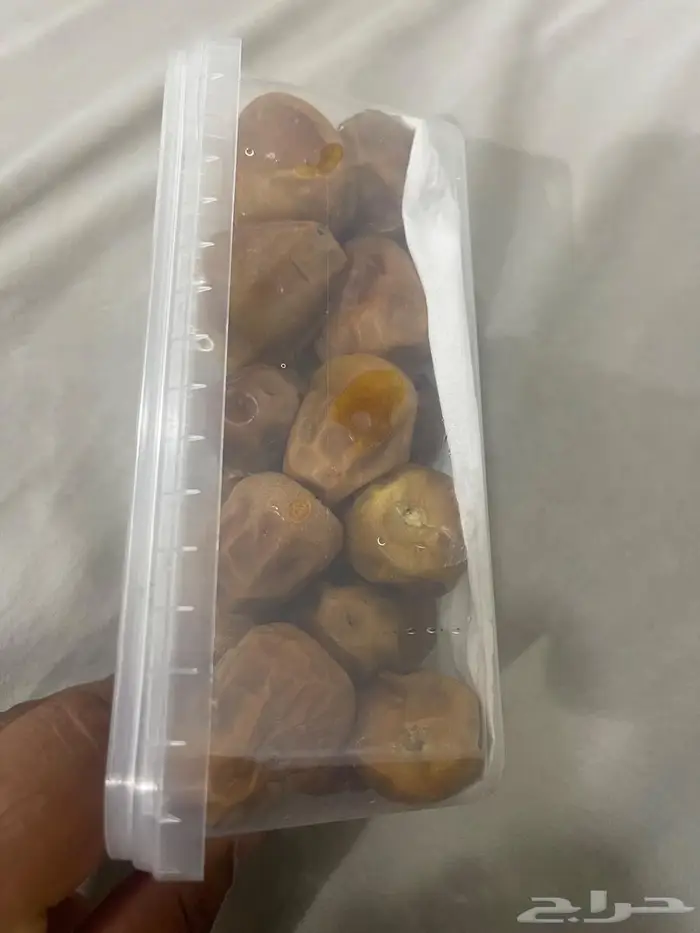 تمر سكري فاخر مخزن 1