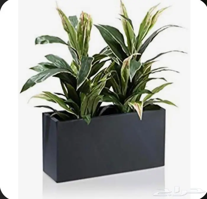 احواض زراعيه فيبر جلاس واسمنتيه مودرن عاليه الجوده 2