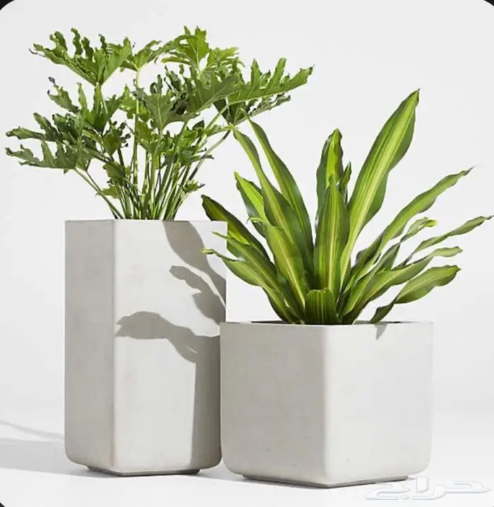 احواض زراعيه فيبر جلاس واسمنتيه مودرن عاليه الجوده 7