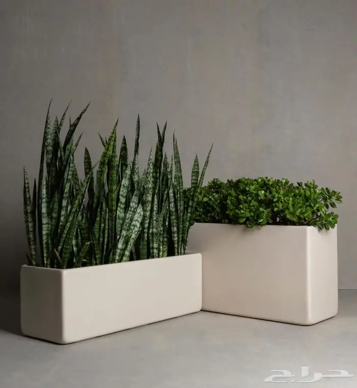 احواض زراعيه فيبر جلاس واسمنتيه مودرن عاليه الجوده 13