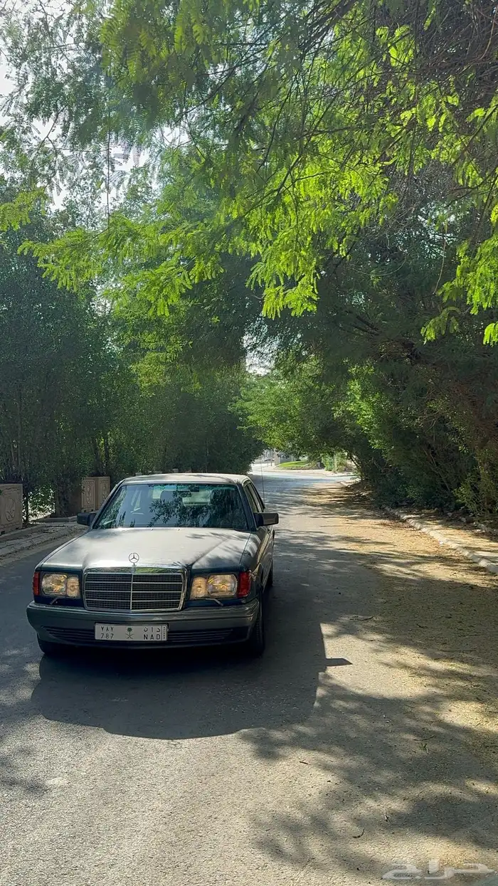 مرسيدس بنز 1988 ياباني رفرف قصير 560 19