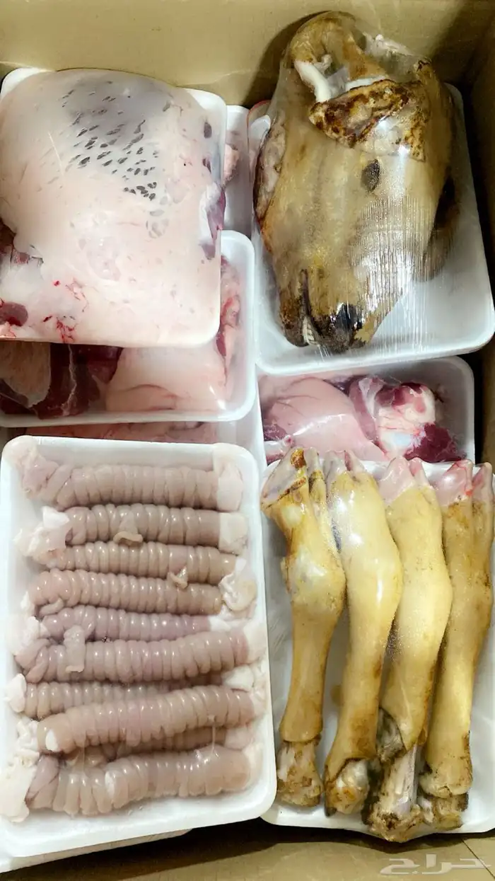 طليان نعيم 9