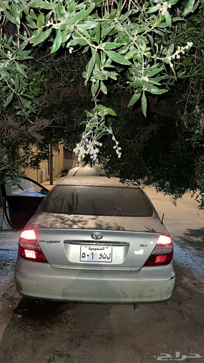 لوحه مميزه 501 0