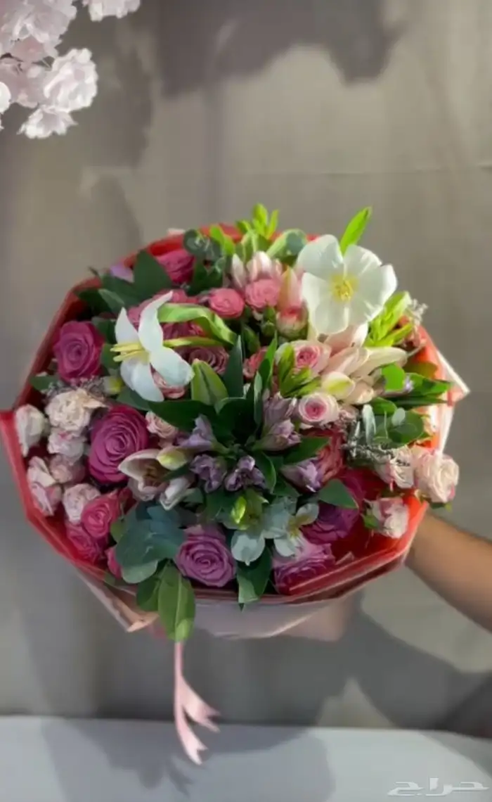 مندوب جده هدايا ورد طلبات خاصه 1