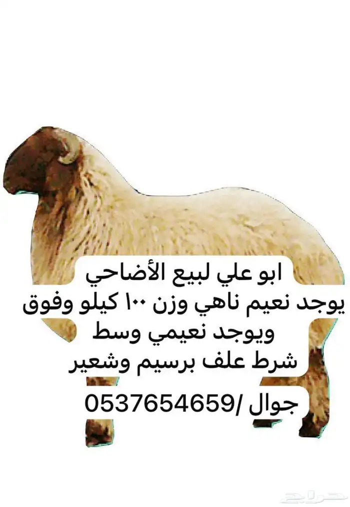 الموقع الملهم على طريق القصيم 0