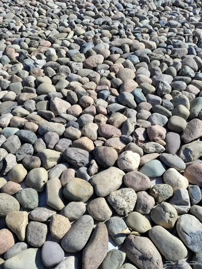 حجر الزينة ( الأحجار النهرية River Stone) 18