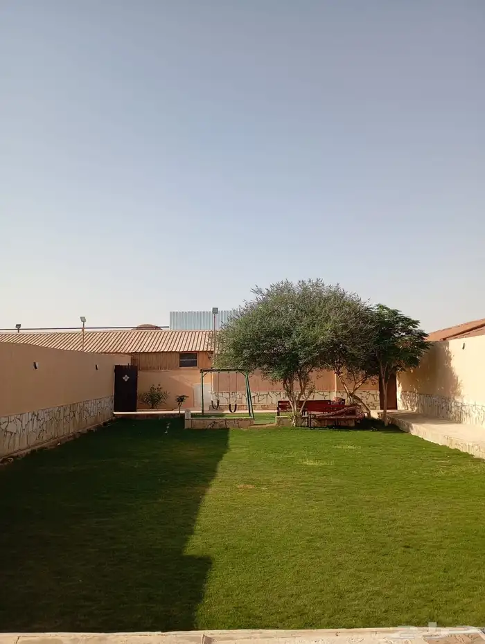 استراحة ديراب 14