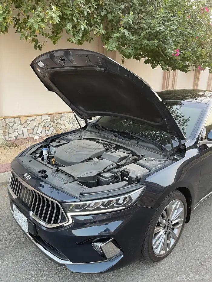 تم البيع 46