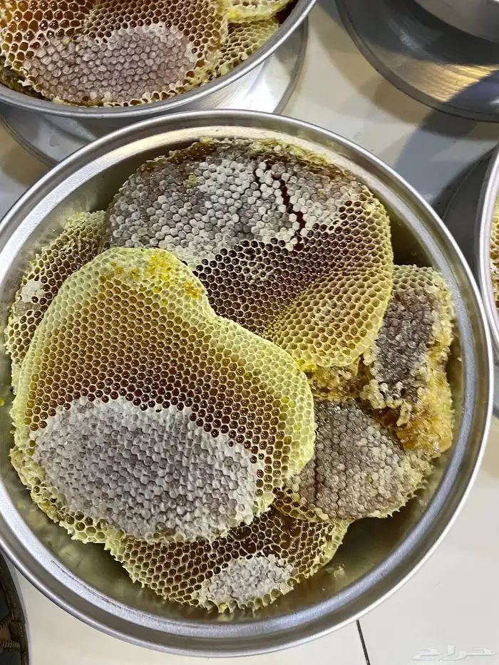 عسل سمره بلدي من نحلي مباشره 0