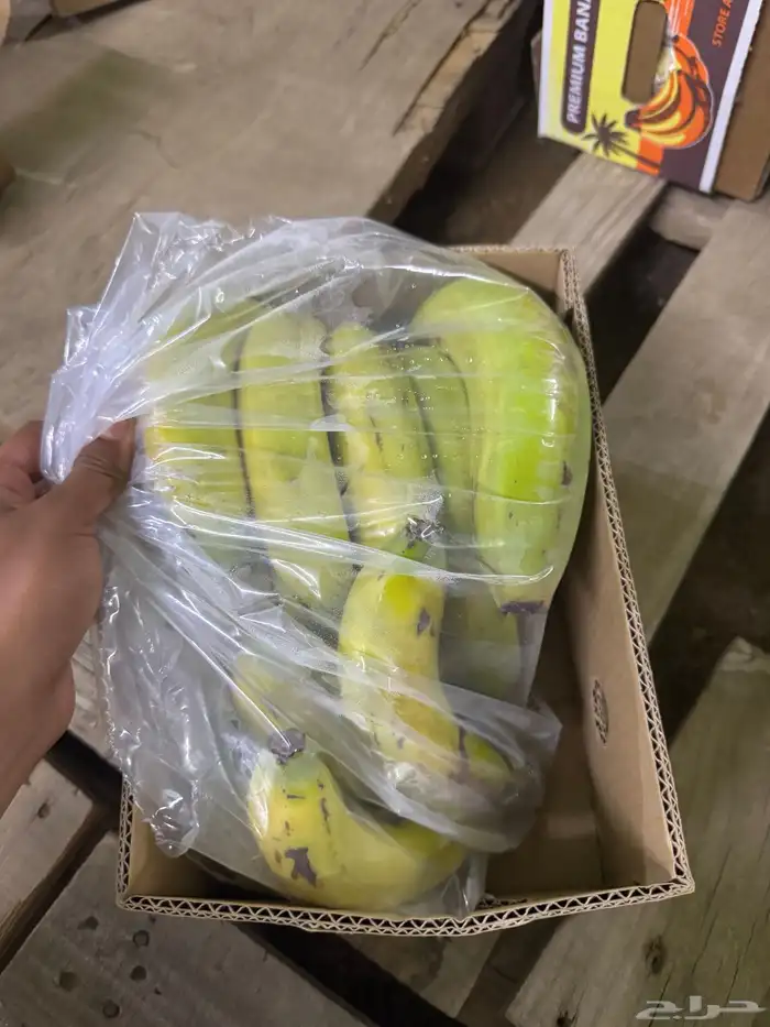موز بلدي للبيع الكميه محدوده 2