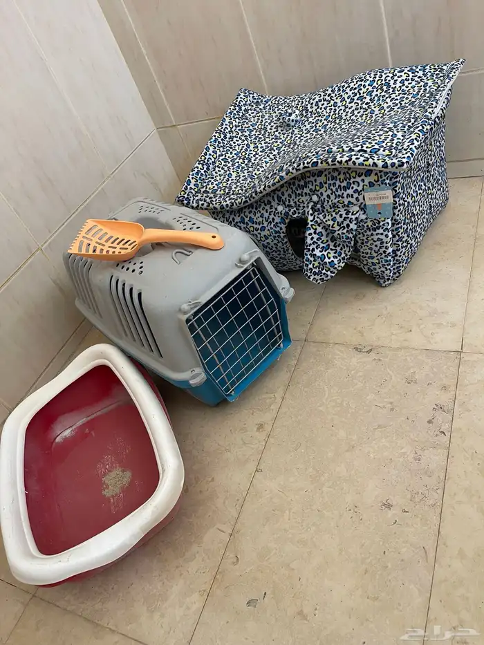 اغراض قطط 0