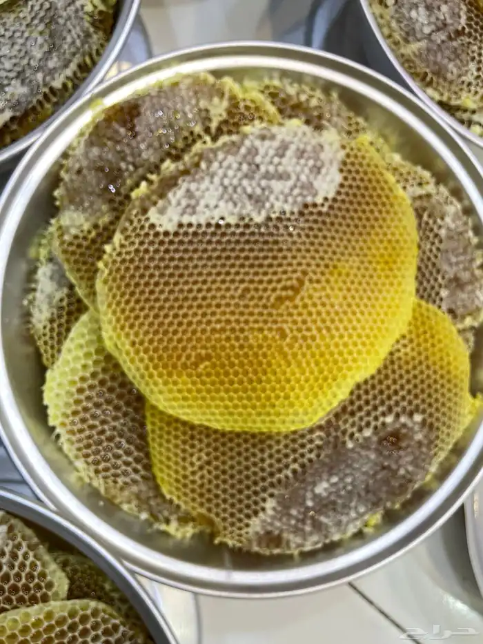 عسل سمره بلدي من نحلي مباشره 2
