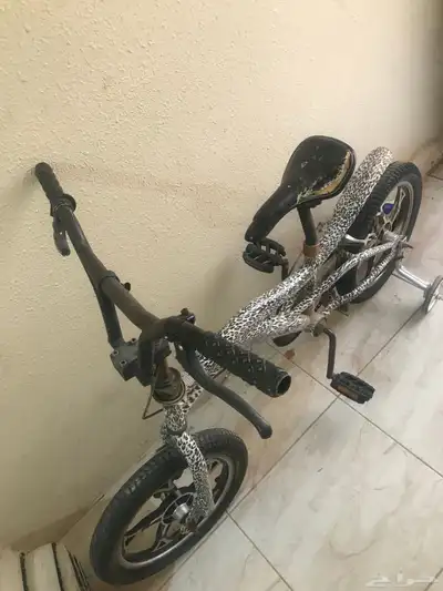 سيكل كبير 0