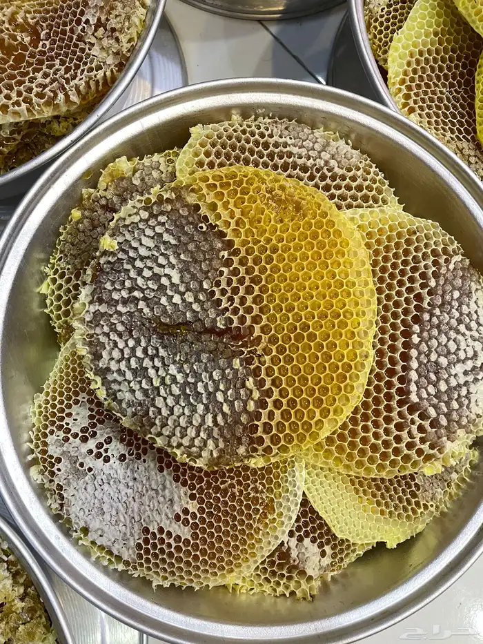 عسل سمره بلدي من نحلي مباشره 1