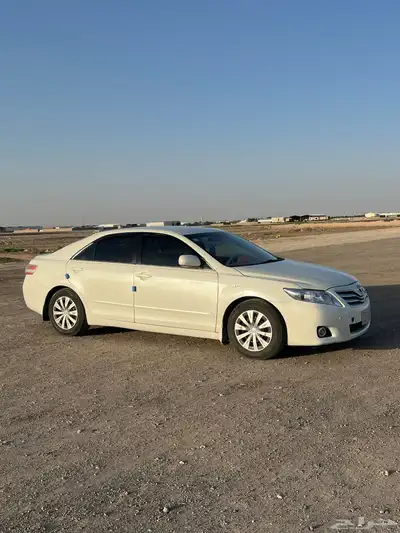 تم البيع 3
