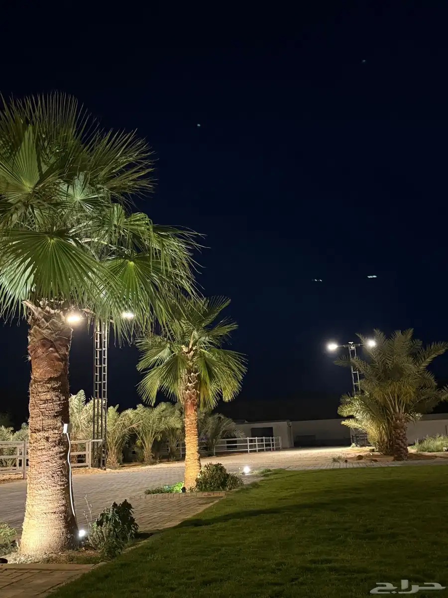 متوفر ايواء خيل في ديراب قريب جدا من الرياض 4